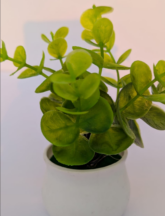 Mini Faux Eucalyptus Potted Plant | Effortless Greenery Solution for Low-Light Spaces